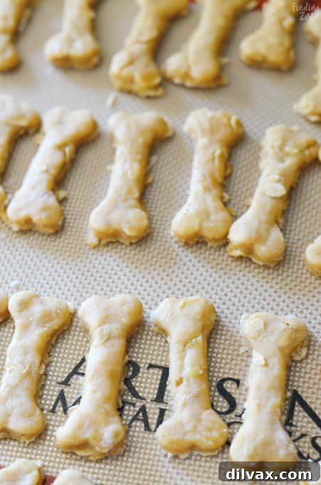 Dog Biscuit Recipe