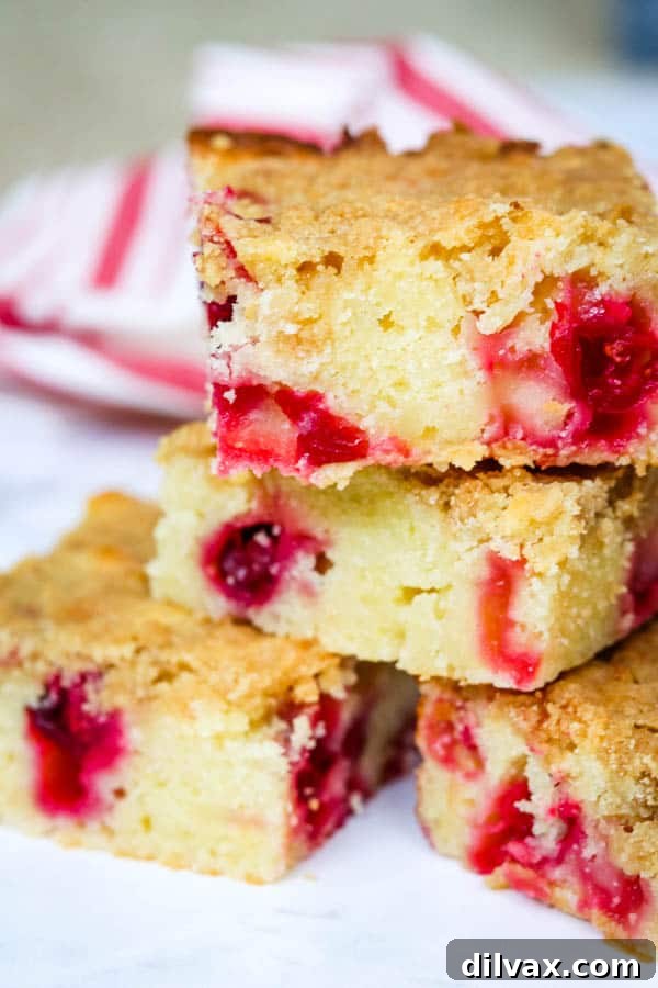Tart cranberries in a sweet Cranberry Coffee Cake.