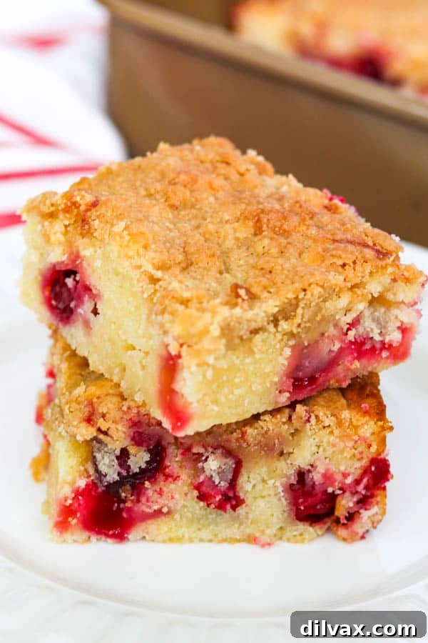 Cranberry Coffee Cake - just the right amount of tart with the right amount of sweet.