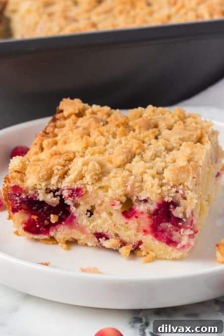 Easy Cranberry Coffee Cake