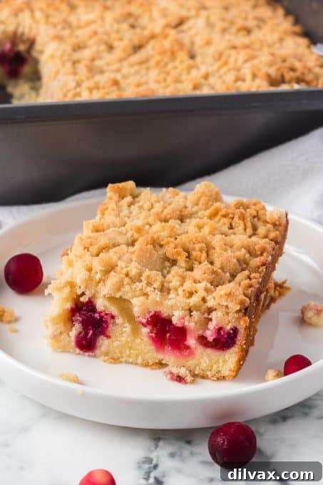 A simple cranberry cake perfect for dessert or with a cup of coffee or tea.