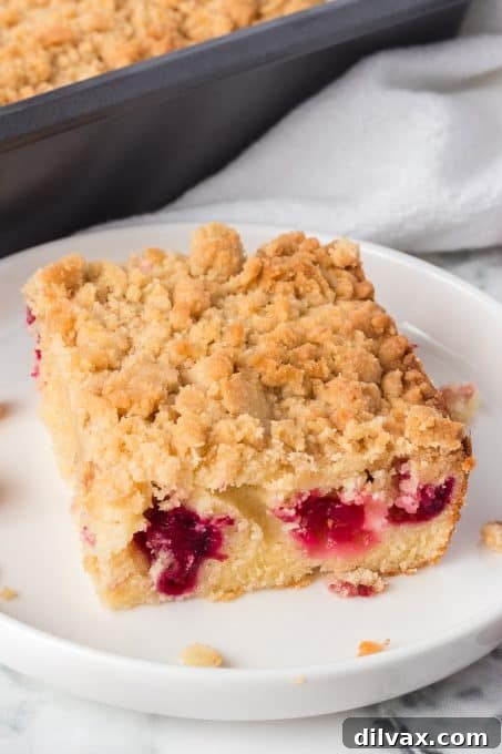 Fresh cranberries in this simple cake with a streusel topping will make your taste buds dance.