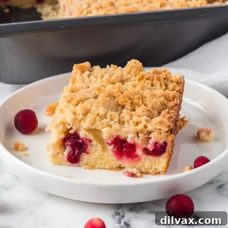 Easy Cranberry Coffee Cake