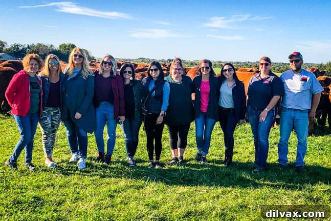 Engaged bloggers on the Iowa Corn-Fed Tour learning about livestock at Rowe's Red Cows. Bloggers enjoying the Iowa Corn-Fed Tour, pictured here with Rowe's Red Cows, connecting agriculture to livestock.