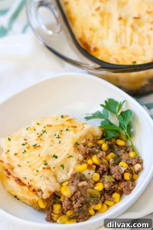 Easy Shepherd's Pie Recipe garnished with a sprig of fresh parsley. Easy Shepherd's Pie Recipe garnished with a sprig of fresh parsley.