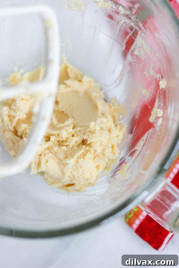 Dough for classic Spritz cookies. Spritz Cookie dough