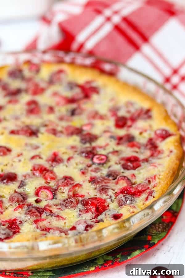 The full Easy Cranberry Pie Recipe in its pie plate, freshly baked and ready to be sliced and served.