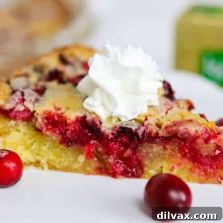 A slice of Easy Cranberry Pie Recipe topped with whipped cream and cranberries.