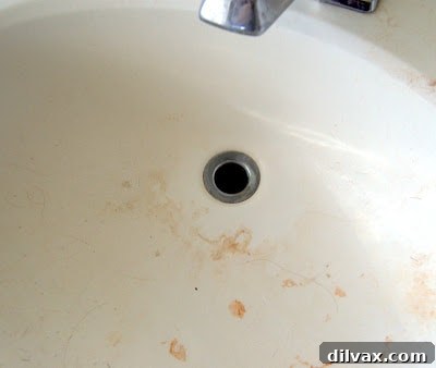 Sink stopper removed, revealing a clear drain opening for treatment.