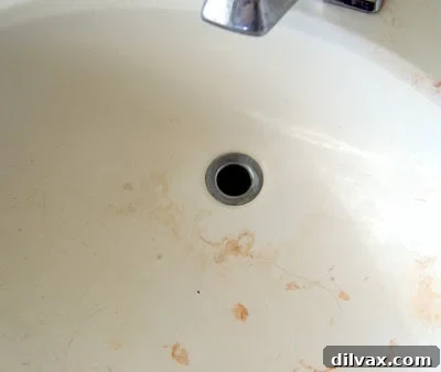 Removing sink stopper and cleaning the surrounding drain area