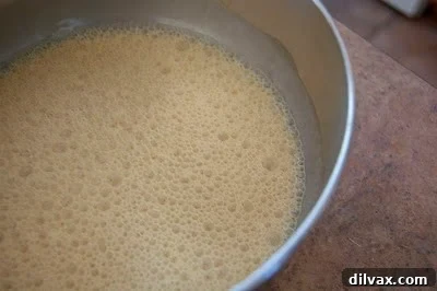 Smooth, whisked Dulce De Leche coffee creamer mixture