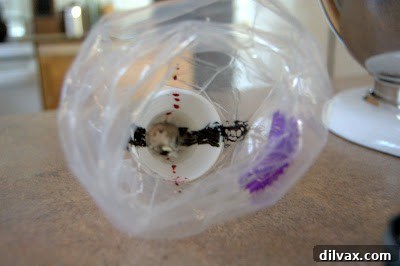 Inside of a pastry bag painted with red and green gel food coloring.