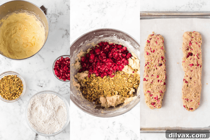 Process photos showing how to make Cranberry Orange Pistachio Biscotti dough