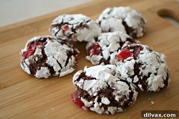 Decadent Chocolate Cherry Crinkles, a festive chocolate crinkle cookie infused with sweet maraschino cherries, dusted with powdered sugar.