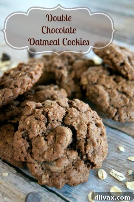 Rich and chewy Double Chocolate Oatmeal Cookies, featuring a wholesome oatmeal base with generous amounts of cocoa and dark chocolate chips.