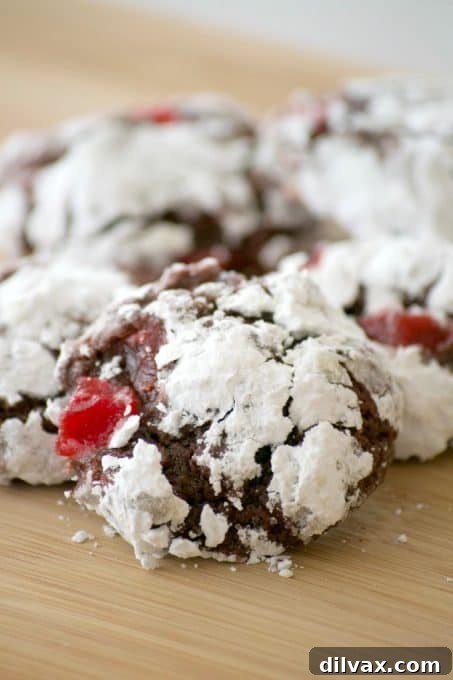 A close-up shot of baked Chocolate Cherry Crinkles, showing their signature powdered sugar coating and crackled surface, ready to be enjoyed.