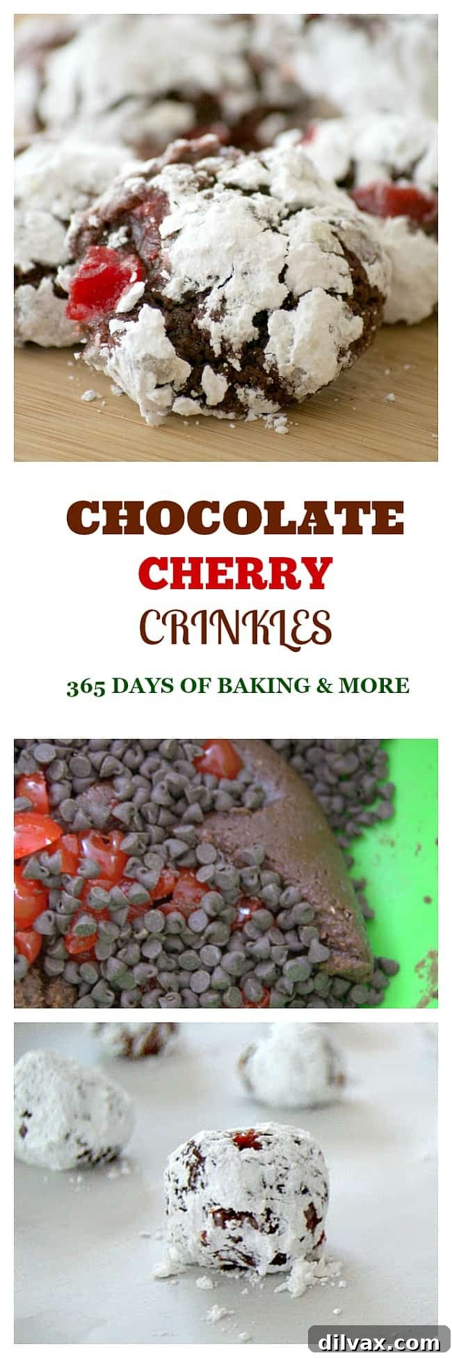 Close-up of the raw Chocolate Cherry Crinkle cookie dough, revealing chunks of maraschino cherries and chocolate chips mixed throughout.