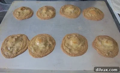 Melted and spread out cookie dough after a baking fail.