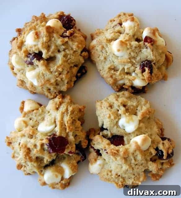 Hearty Oatmeal Cranberry White Chocolate Chip Cookies, a festive treat.
