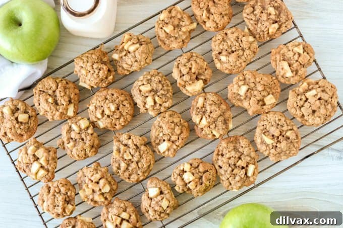 A rack full of cinnamon oatmeal cookies cooling.