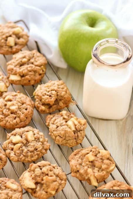Apple Cinnamon Oatmeal Cookies