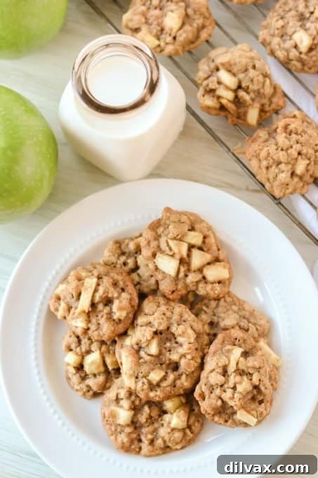 Oatmeal Cookies with chopped apple.