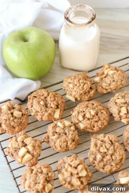 Cinnamon Oatmeal Cookies with apple.