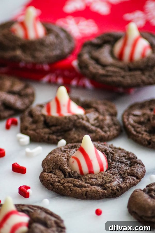 Double Chocolate Peppermint Kisses with candy sprinkles and candy canes.
