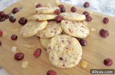 Cranberry Ginger Sugar Cookies Kicking Off Our 2012 12 Days of Cookies 3 Close-up of baked Cranberry Ginger Sugar Cookies, showing the vibrant cranberries.