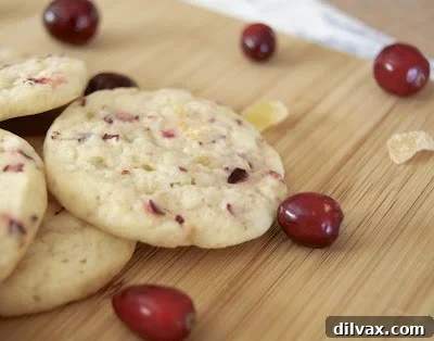 Cranberry Ginger Sugar Cookies Kicking Off Our 2012 12 Days of Cookies 10 Beautifully arranged Cranberry Ginger Sugar Cookies, a perfect holiday treat.