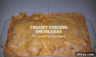 Creamy Chicken Enchiladas: A Family Favorite Creamy Chicken Enchiladas recipe by Jen