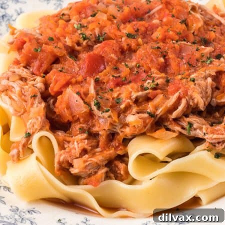 Delicious Crockpot Pork Ragu