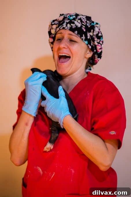 Hearty Braised Pork Ragu 14 Farmers proudly showcasing their pigs on the farm