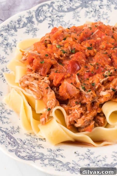 Hearty Braised Pork Ragu 9 Close-up of a plated pork ragu dish, ready to eat