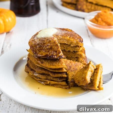 Hearty Pumpkin Wheat Stack 11 Whole Wheat Pumpkin Pancakes