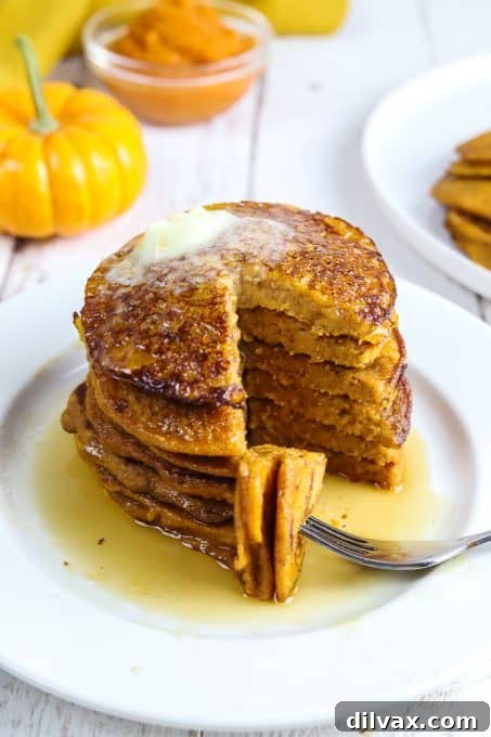 Hearty Pumpkin Wheat Stack 3 A close-up of a single fluffy Whole Wheat Pumpkin Pancake on a plate, showcasing its golden-brown texture.