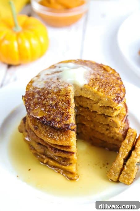 Hearty Pumpkin Wheat Stack 10 A final presentation of Whole Wheat Pumpkin Pancakes, beautifully stacked and garnished.