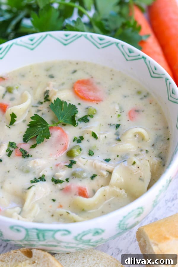 Close-up of creamy homemade chicken noodle soup in a bowl, showcasing the rich broth, chicken, noodles, peas, and carrots, ready to be enjoyed.