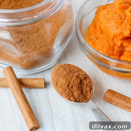 Use this easy DIY Pumpkin Spice for all your delicious pumpkin recipes.