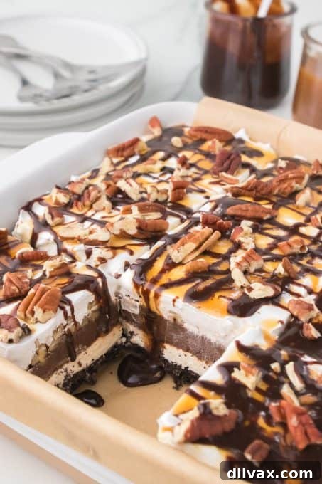 Layers of Oreos, cheesecake, chocolate pudding and Cool Whip.