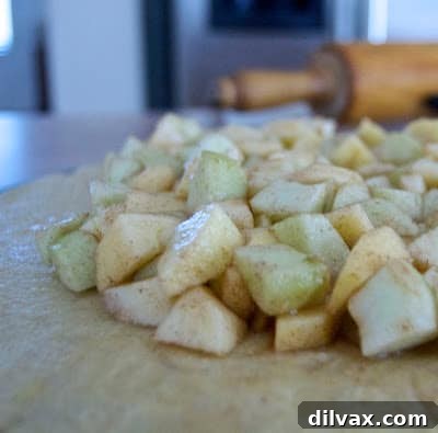 Apple filling generously spread in the center of the galette dough, maintaining a clear two-inch border around the edge.