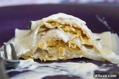 Harvest Chicken and Squash Ravioli 5 Roasted Butternut Squash and Chicken Ravioli is a dinner recipe that is perfect for the Fall.