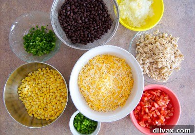 Ingredients laid out for the pie: diced tomatoes, sliced scallions, shredded chicken, and black beans.