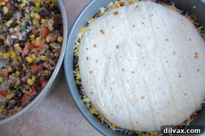 A top-down view of the freshly baked Chicken, Black Bean and Tortilla Pie with vibrant toppings.