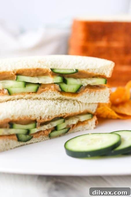 Nutty Cucumber Crunch 5 A simple yet elegant peanut butter sandwich adorned with neatly arranged cucumber slices, ready for a delightful bite.