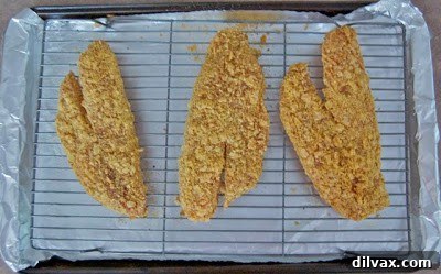 Salsa Ingredients and Tilapia Breading Two small bowls, one containing a vibrant red raspberry mango salsa and the other with seasoned, crushed tortilla chips, ingredients for the tilapia.