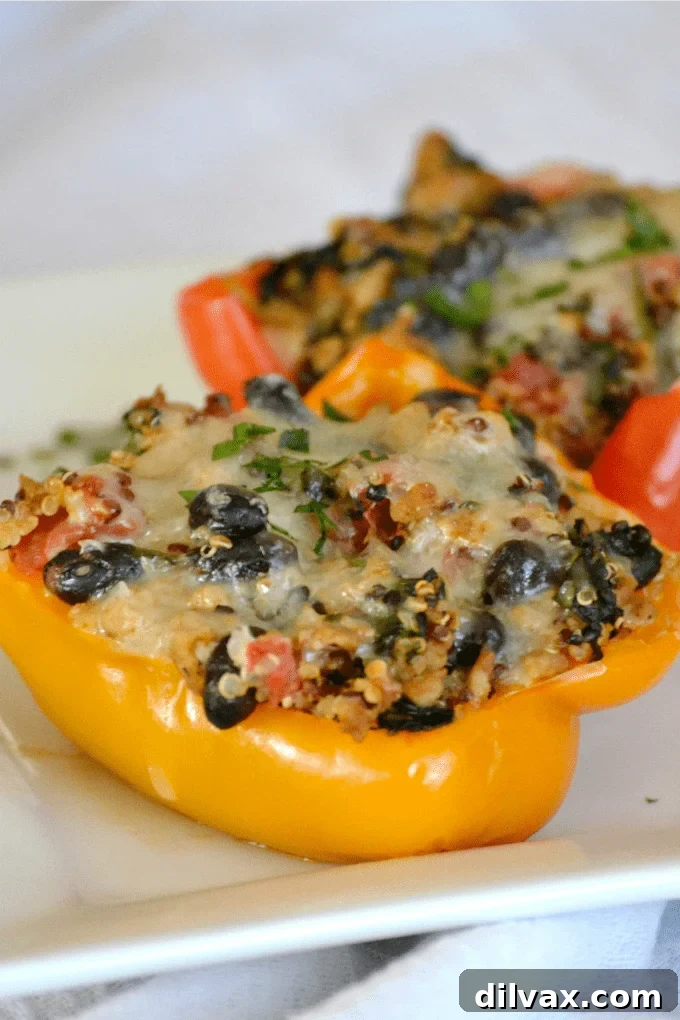 Quinoa, Black Bean and Turkey Stuffed Peppers - colorful bell peppers stuffed with quinoa, black beans and turkey that will satisfy any hungry appetite.