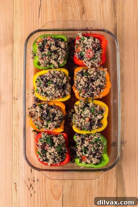 A baking dish filled with colorful quinoa stuffed peppers, ready for the oven.