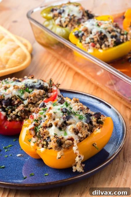 A single turkey stuffed pepper with black beans and quinoa on a plate, ready to eat.