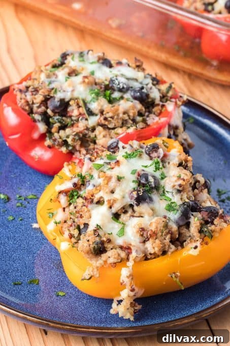 Close-up of a perfectly baked turkey, quinoa and black bean stuffed pepper, garnished with fresh herbs.